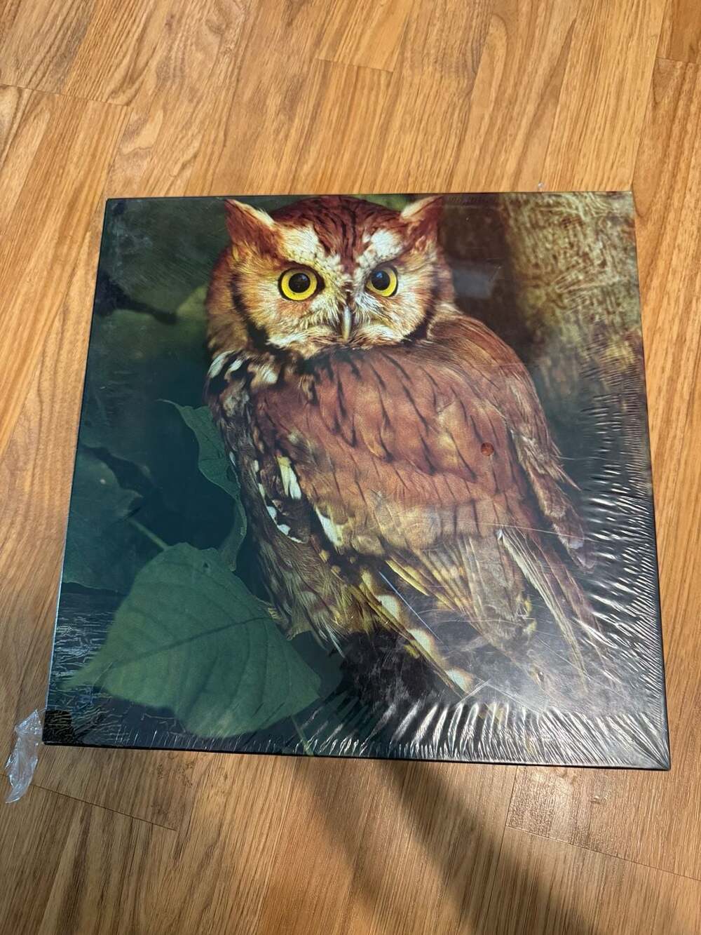 NIB Night watch by Eaton - 500 pieces (1982) : r/Jigsawpuzzles